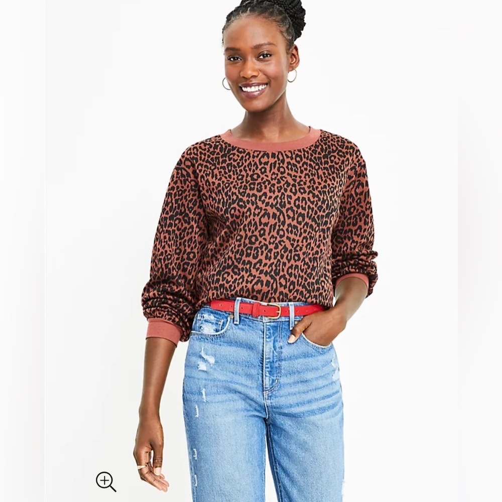 Loft Leopard Print Sweater